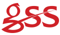 GSS SAFETY