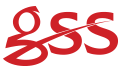 gss safety